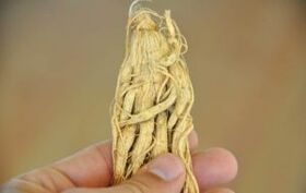 أعشاب لتكبير القضيب